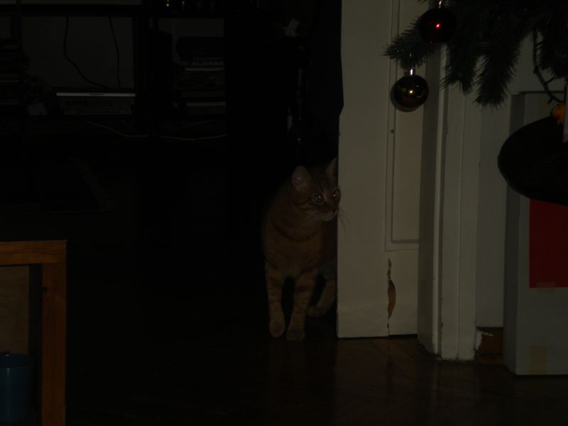 DSCN1553.JPG