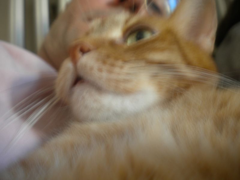 DSCN1632.JPG