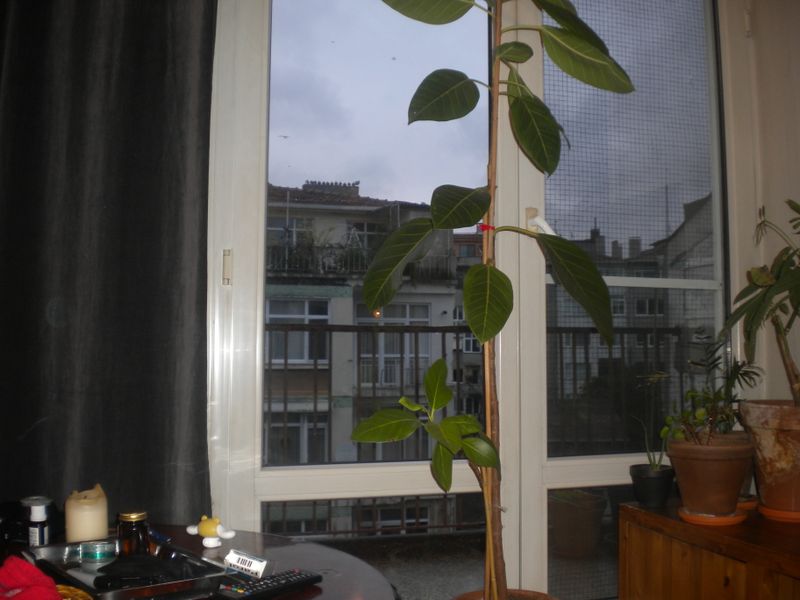 DSCN1658.JPG