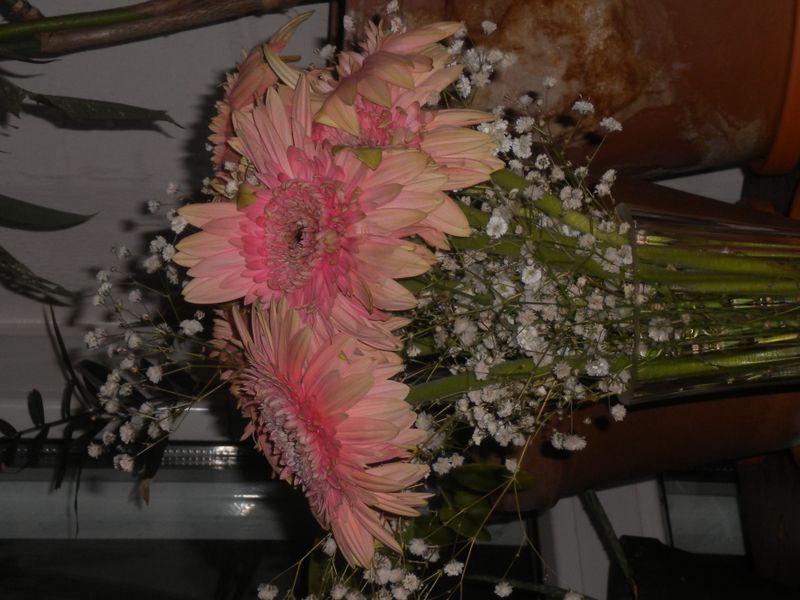 DSCN1754.JPG