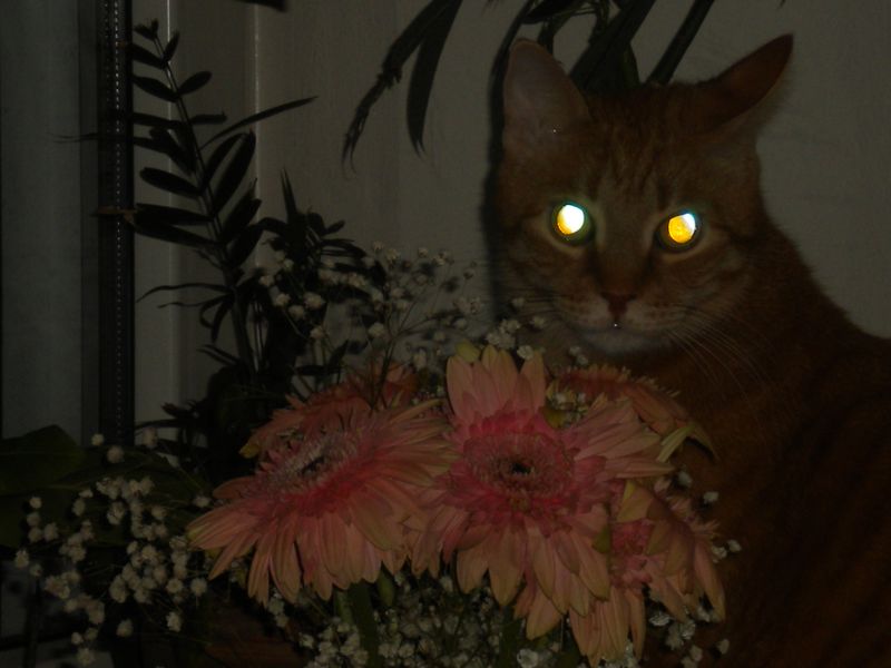 DSCN1758.JPG