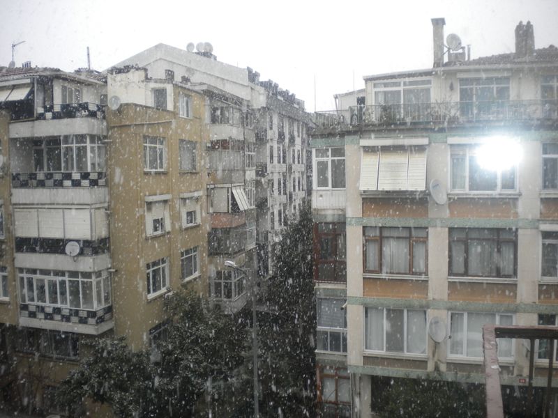 DSCN2010.JPG