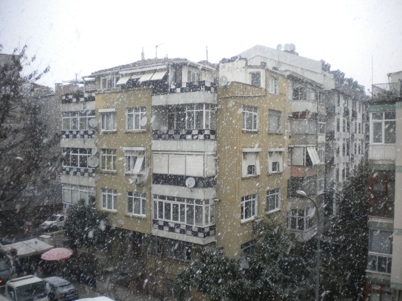 DSCN2018.JPG