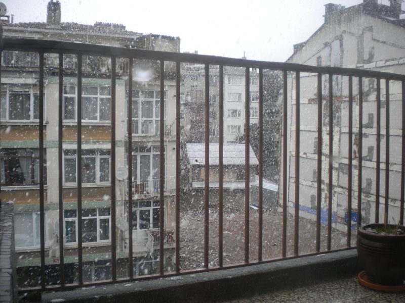 DSCN2019.JPG