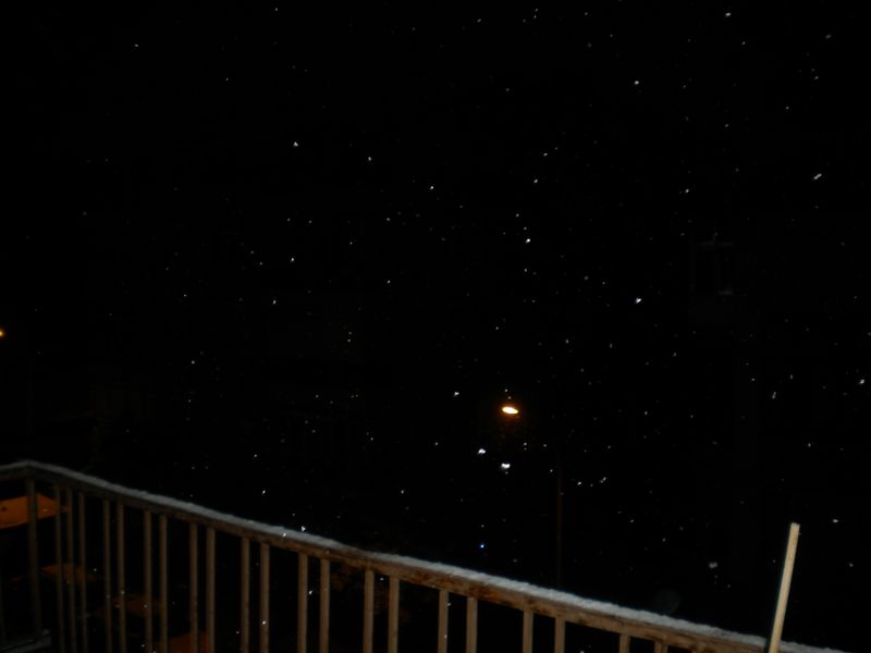 DSCN2029.JPG