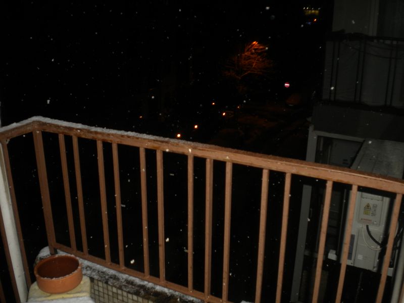 DSCN2030.JPG