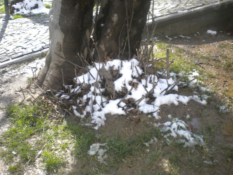 DSCN2045.JPG