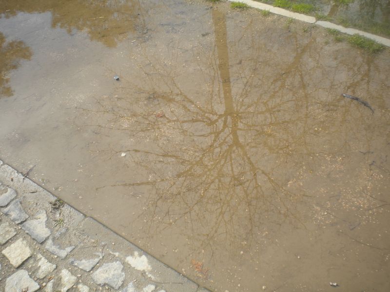 DSCN2059.JPG