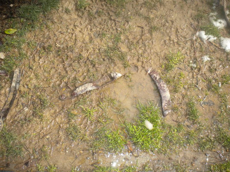 DSCN2066.JPG