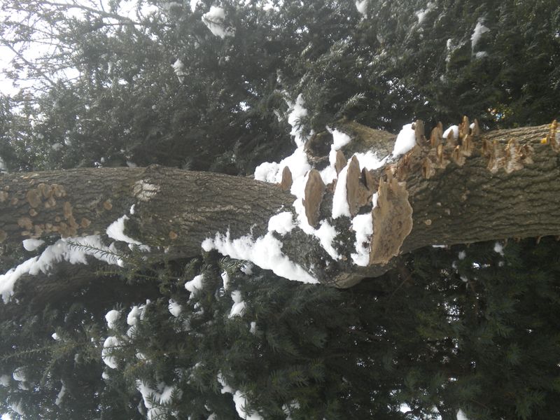 DSCN2072.JPG