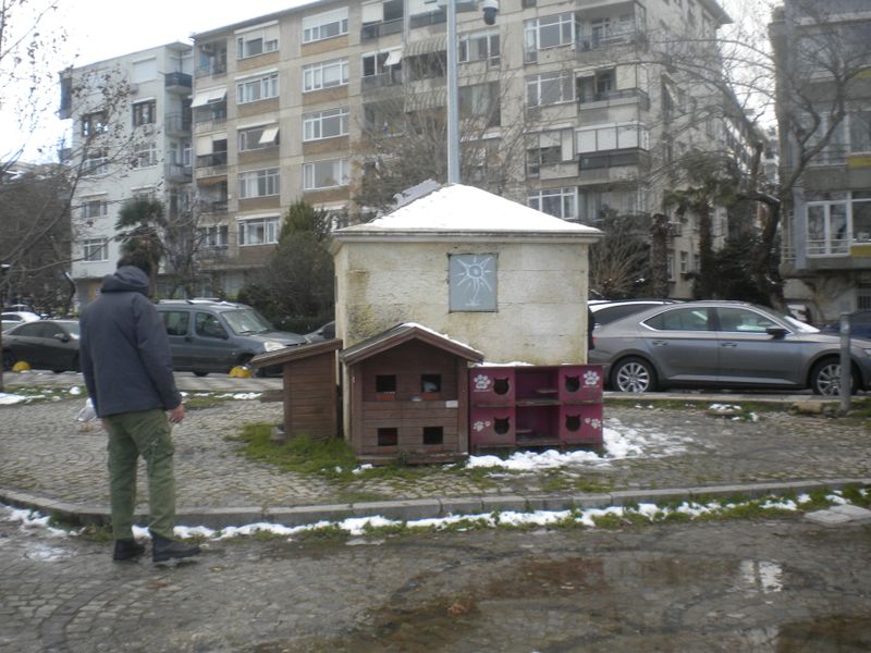 DSCN2079.JPG