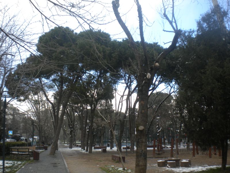 DSCN2084.JPG