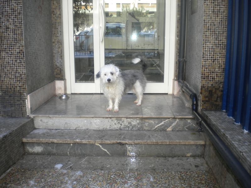 DSCN2091.JPG