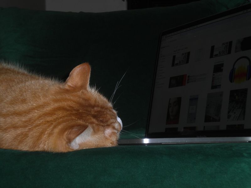 DSCN2113.JPG