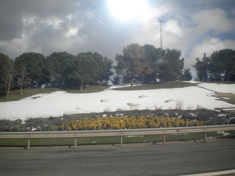 DSCN2121.JPG