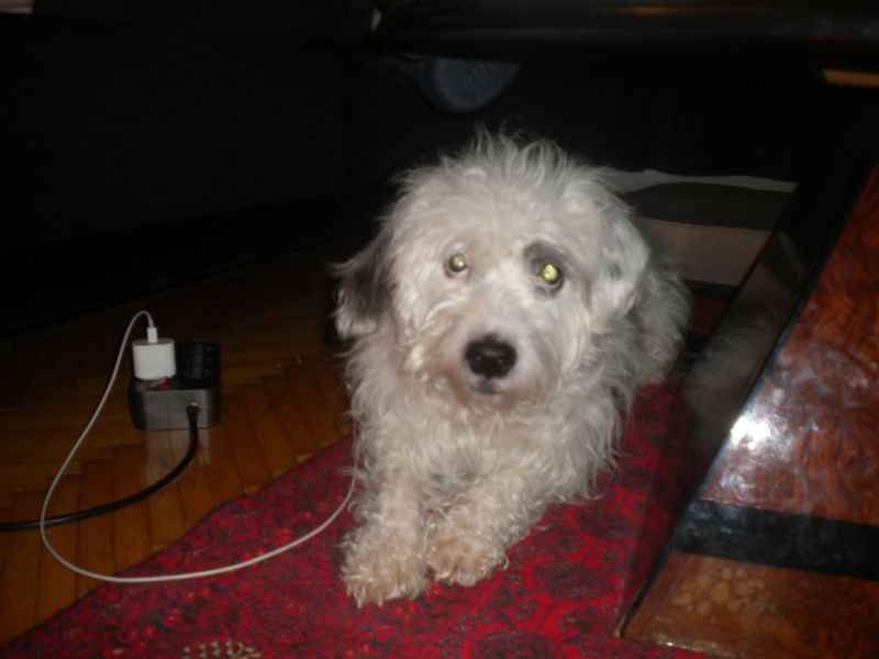 DSCN2149.JPG
