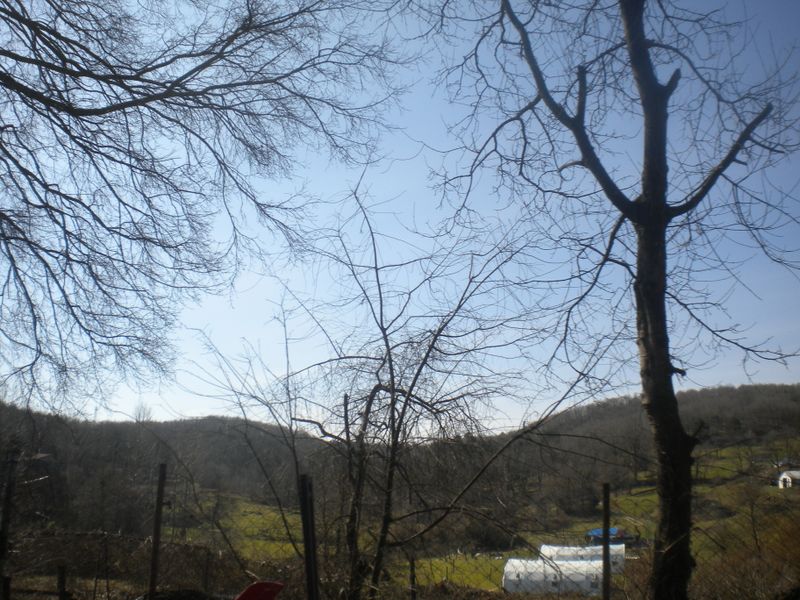 DSCN2163.JPG