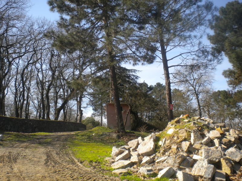 DSCN2180.JPG