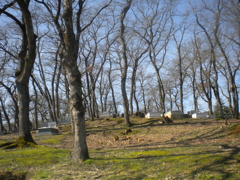 DSCN2182.JPG