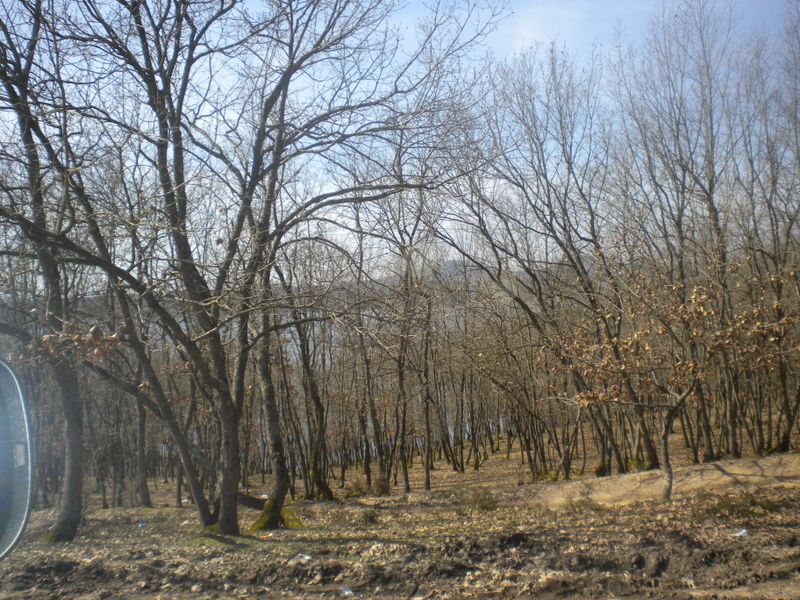 DSCN2187.JPG