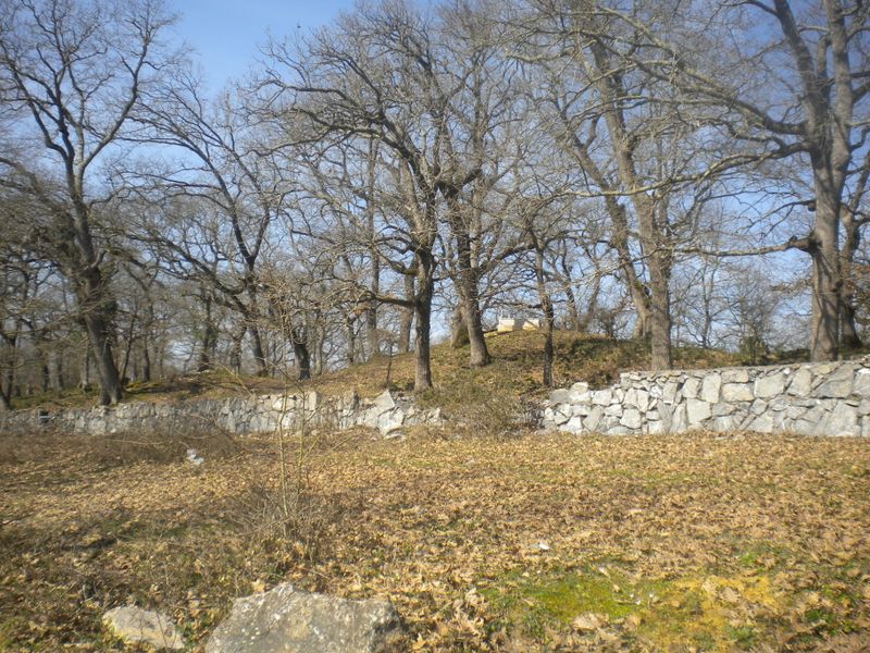 DSCN2192.JPG