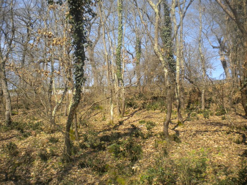 DSCN2197.JPG