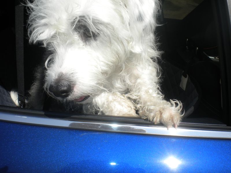 DSCN2209.JPG