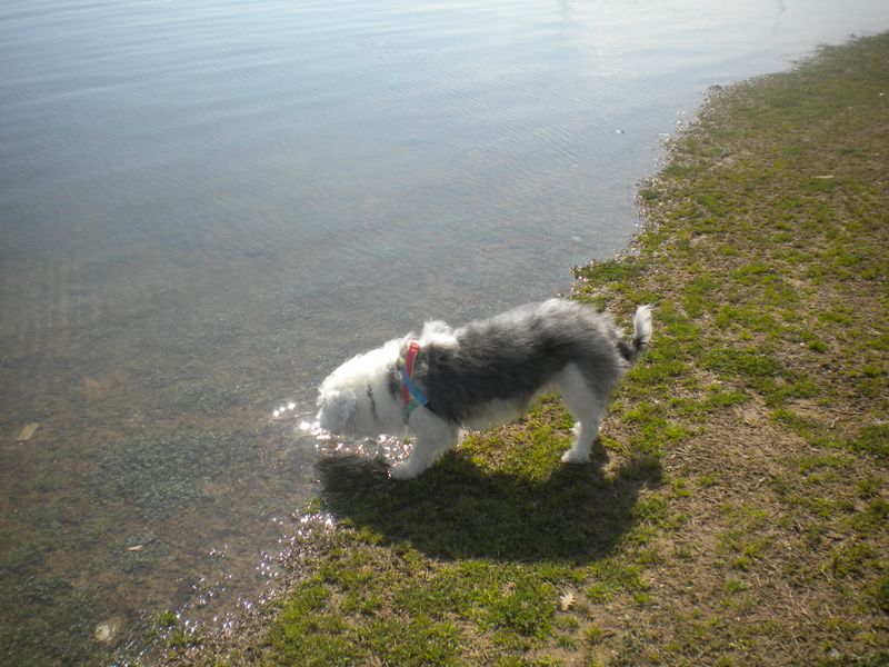 DSCN2216.JPG