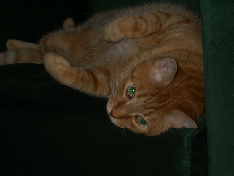 PICT4280.JPG