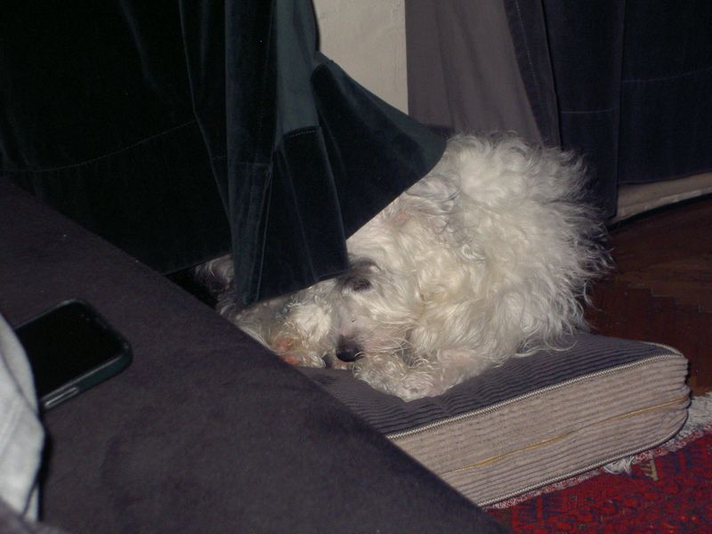 PICT4287.JPG