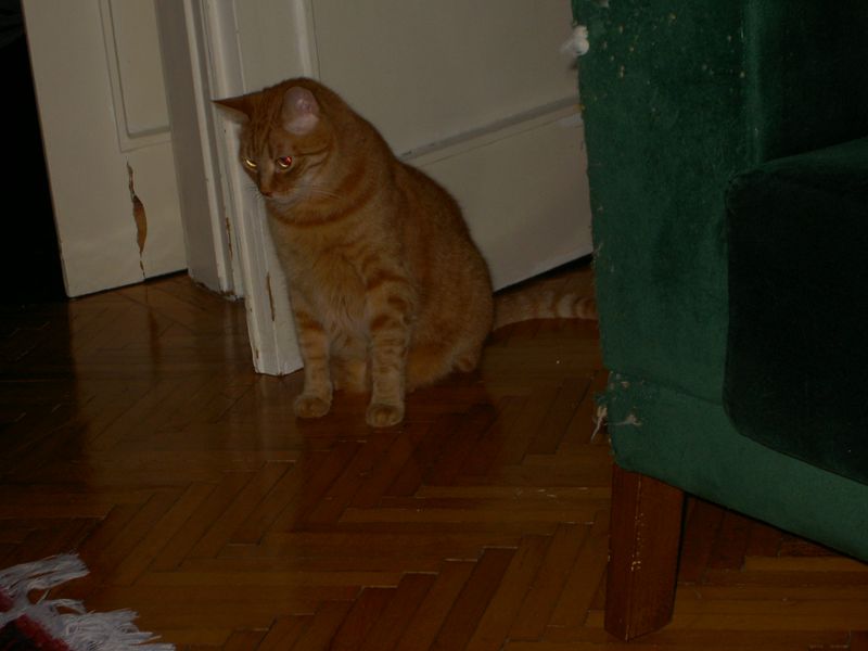 PICT4319.JPG