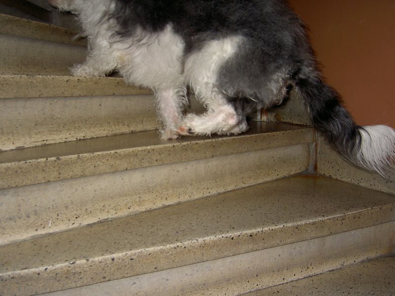 PICT4362.JPG