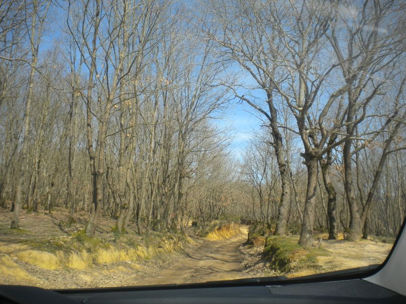 DSCN2231.JPG