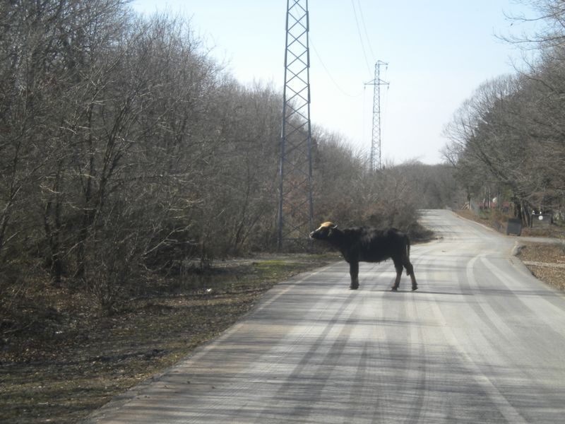 DSCN2239.JPG
