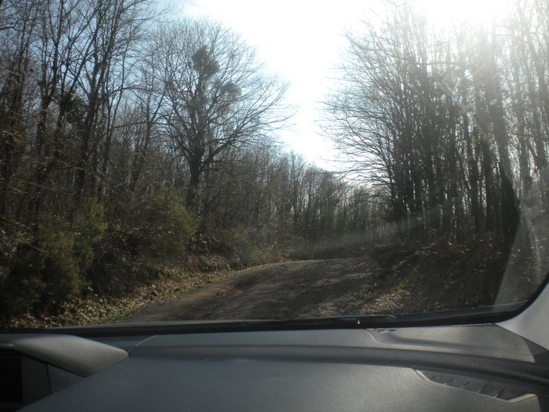 DSCN2253.JPG