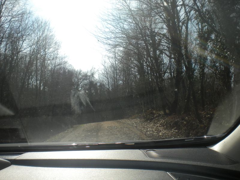 DSCN2254.JPG