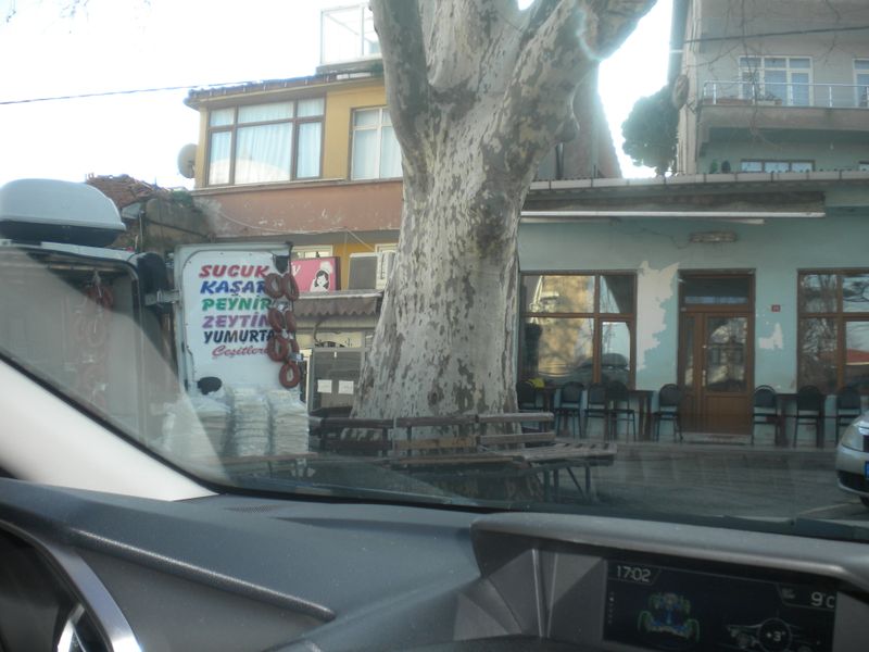 DSCN2289.JPG