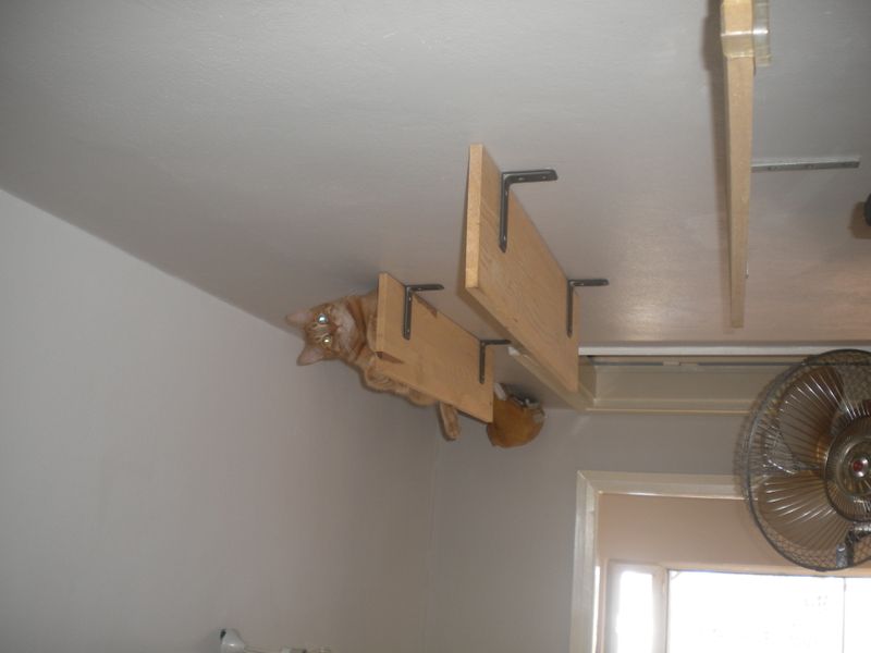 DSCN2347.JPG