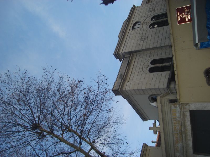 DSC02376.JPG