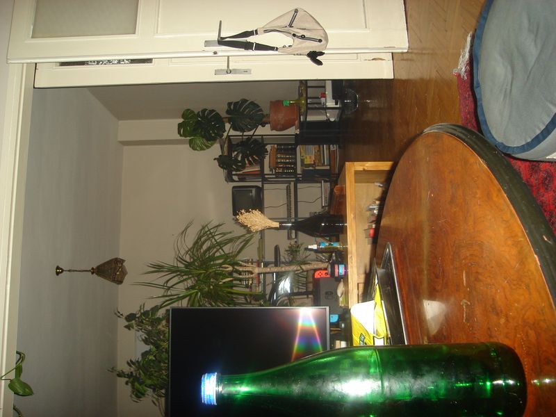 DSC02461.JPG