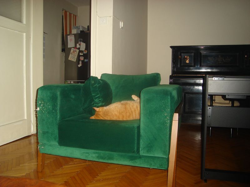 DSC02466.JPG