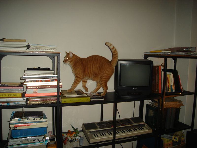 DSC02520.JPG