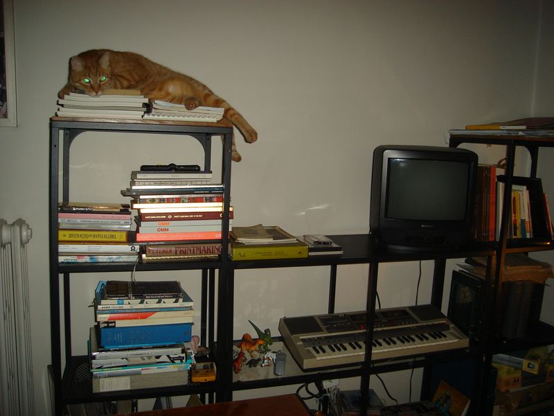 DSC02522.JPG