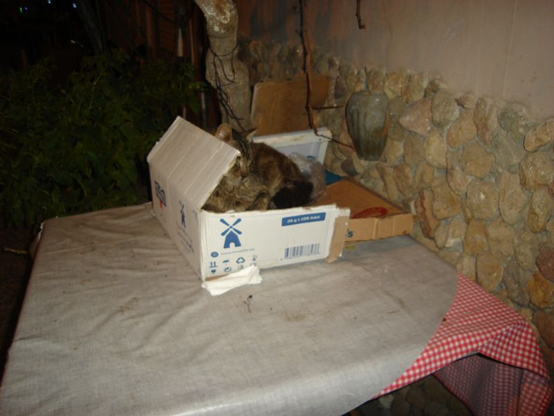 DSC02611.JPG