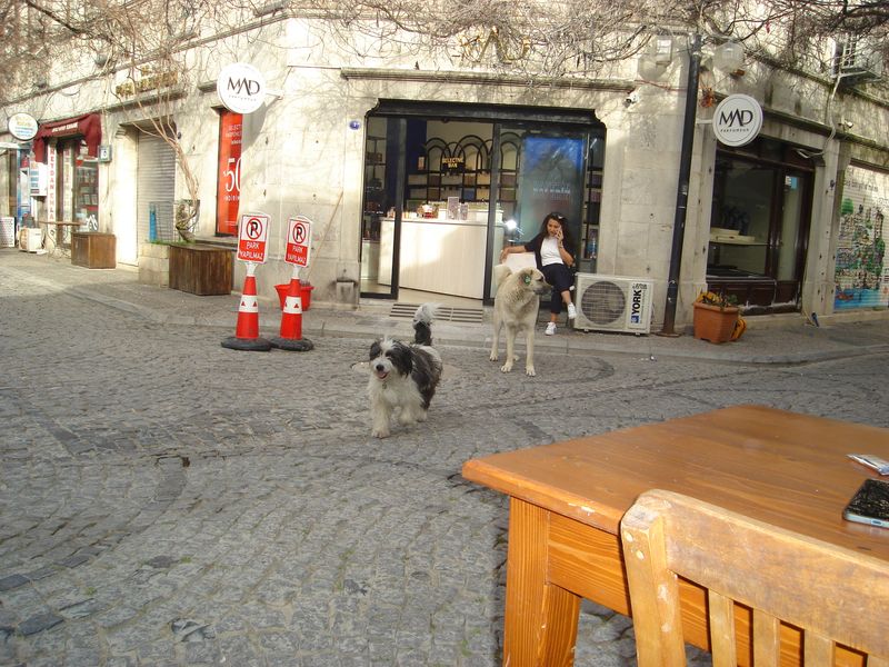 DSC02645.JPG