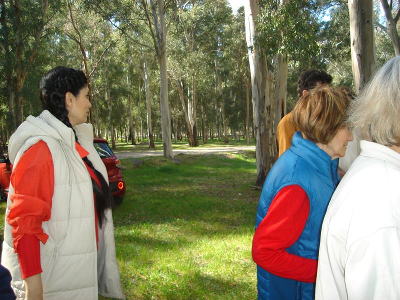 DSC02780.JPG