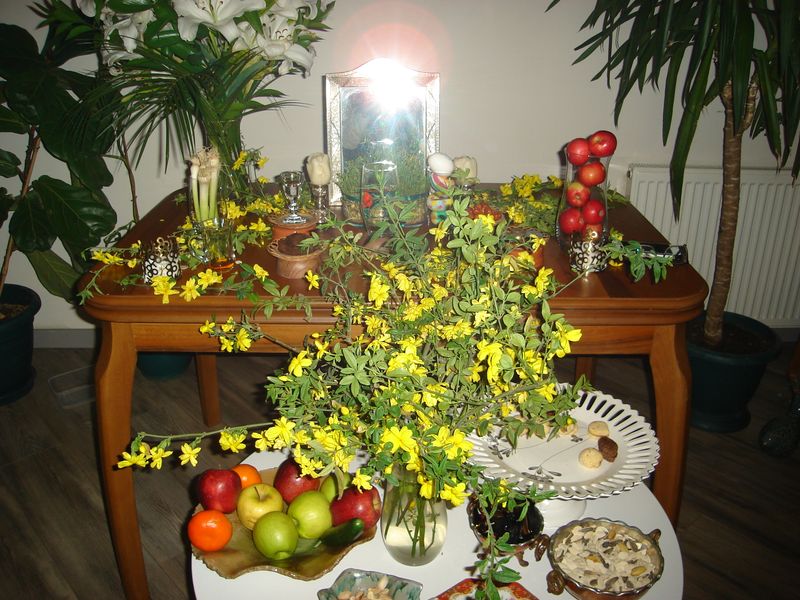 DSC02874.JPG