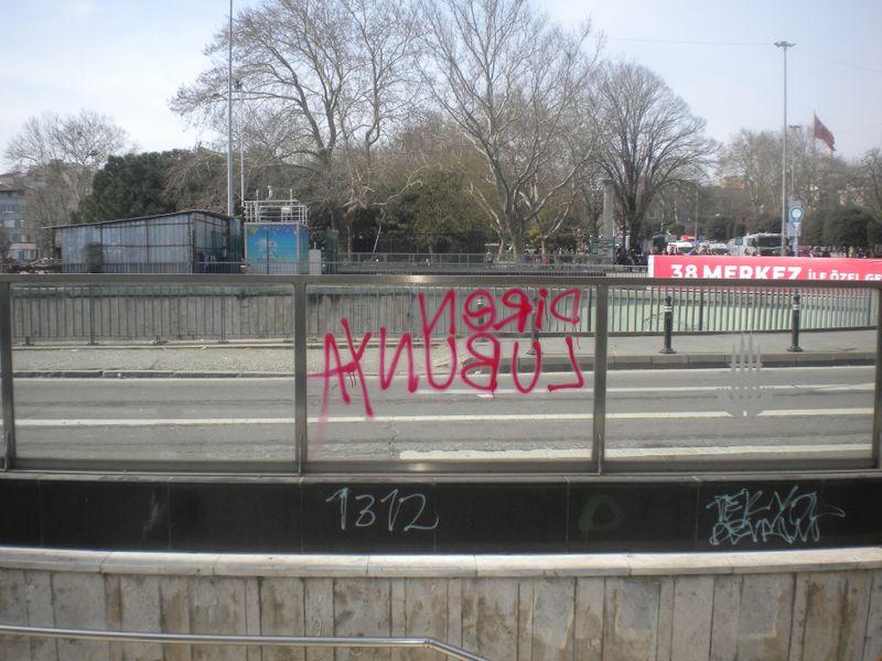 DSCN2373.jpg