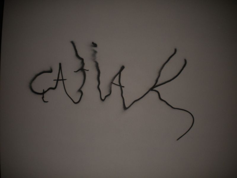 DSCN2398.JPG