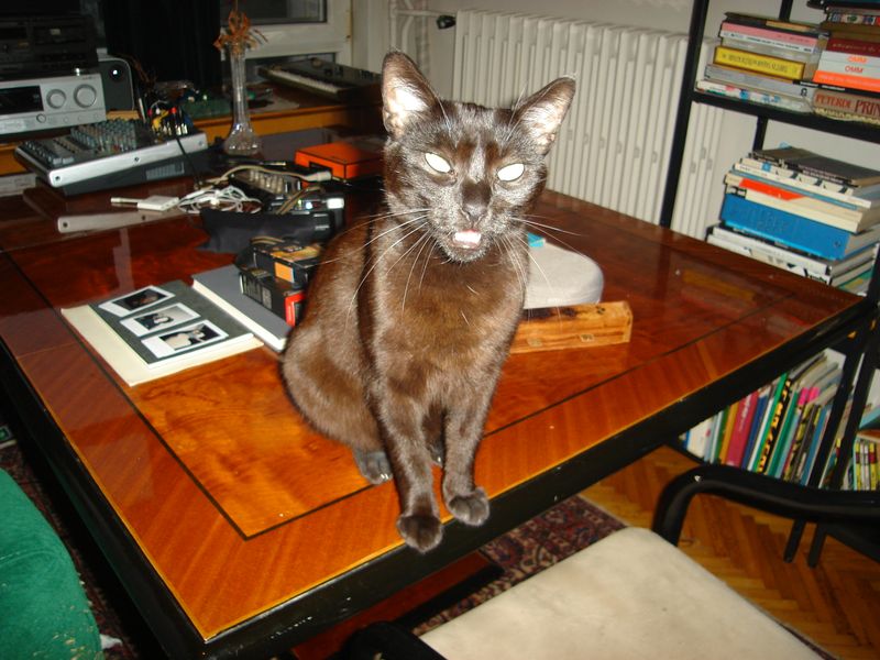 DSC02980.JPG